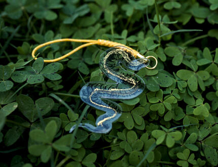 Snake