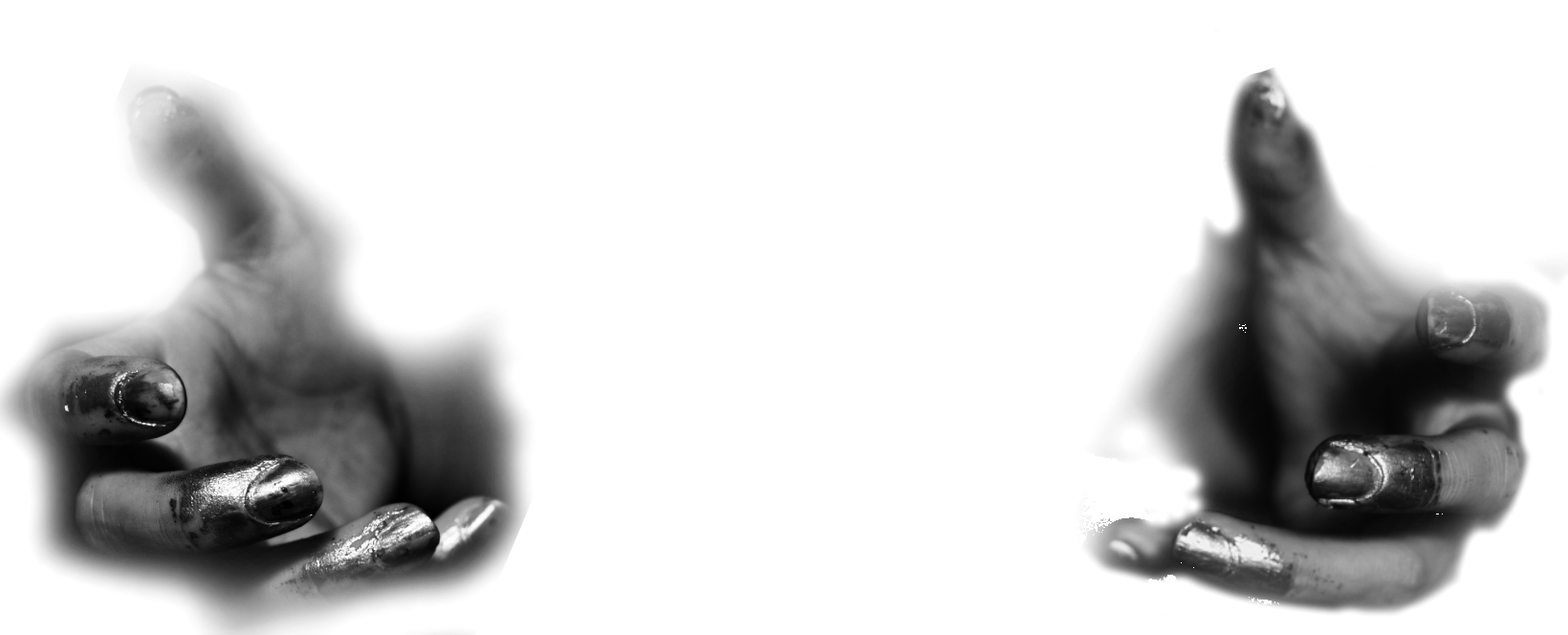 Scribble Sheep